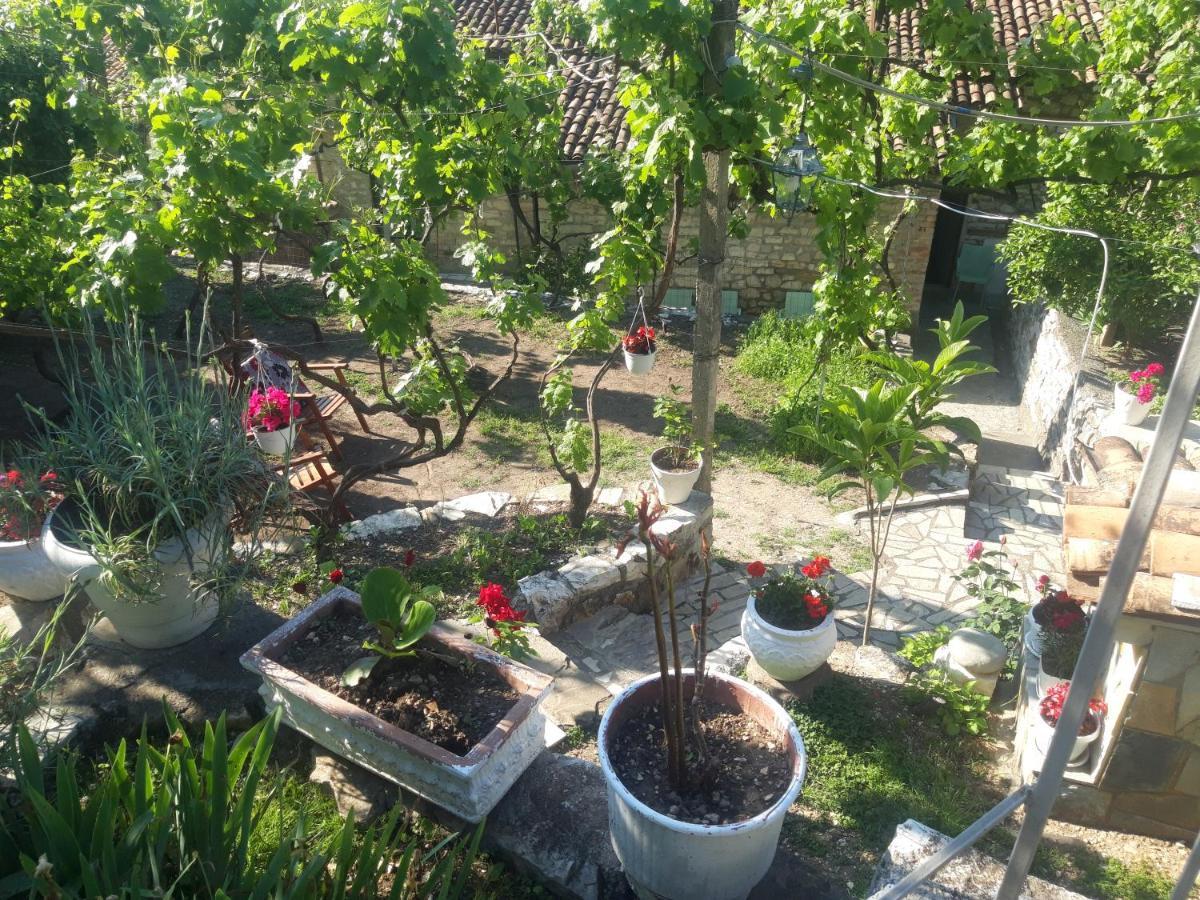 Guesthouse & Hostel Lorenc Berat Dış mekan fotoğraf
